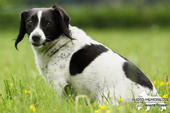 Sitzen im Rasen