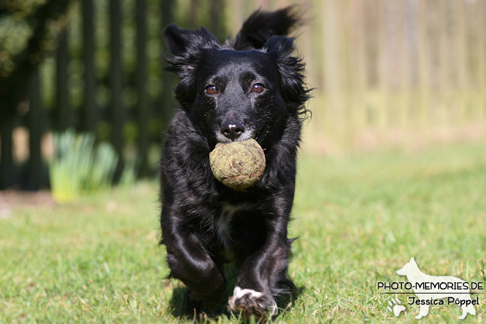 Zurückbringen des Balles