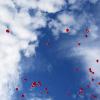 Luftballons einer Hochzeit
