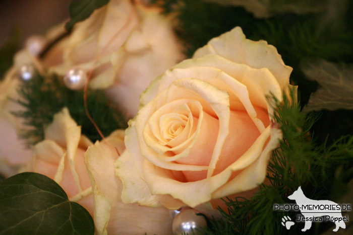 Rosen eines Brautstrausses