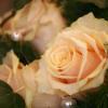 Rosen eines Brautstrausses