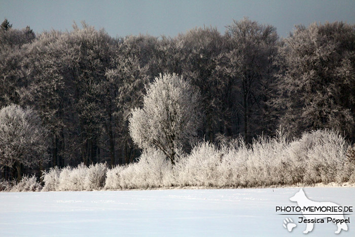 Schneeweiße Winterlandschaft