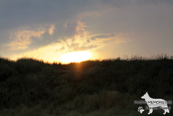 Sonnenaufgang im Sommer