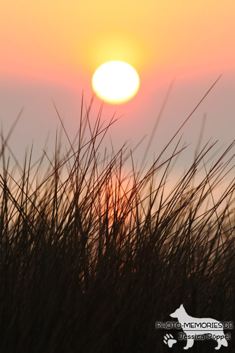 Sonnenuntergang im Sommer